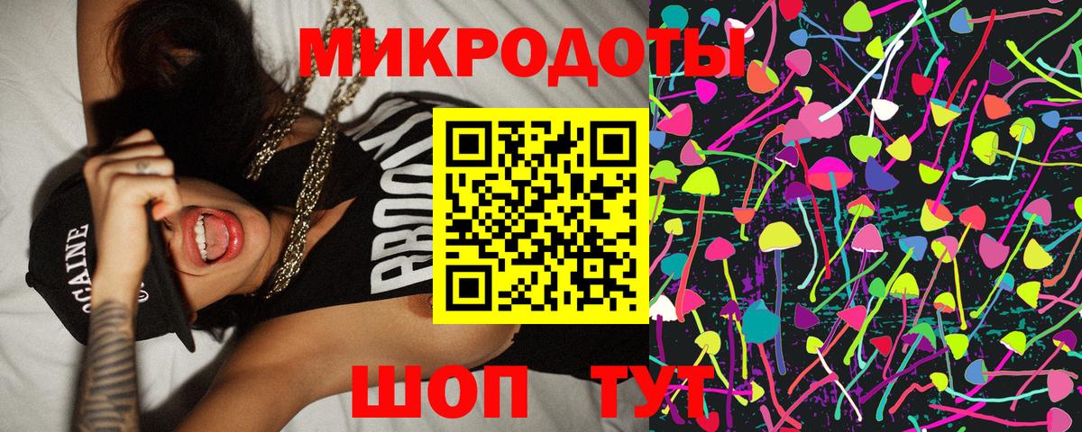 Галлюциногенные грибы Psilocybine cubensis Магадан